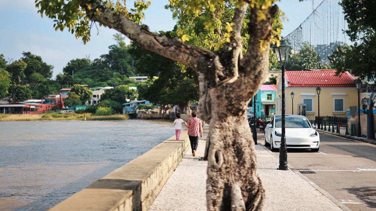 路環，不是順路去的地方