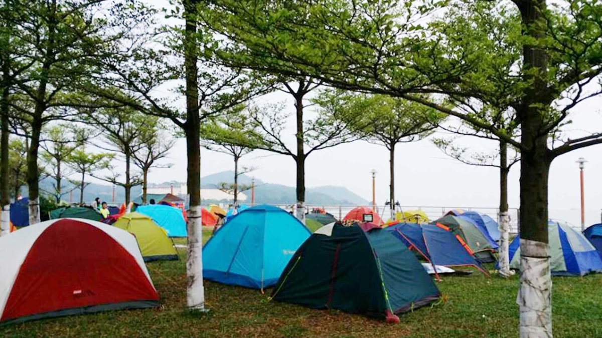  紙醉金迷之外的另一個澳門