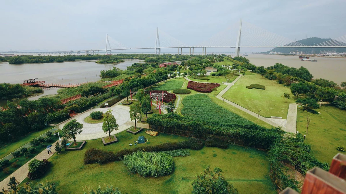 橫琴花海長廊｜免費入場的13.6公里浪漫長廊，一年四季都有不同風景